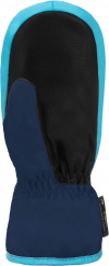 Detské lyžiarske rukavice Reusch Ben Mitten blue/bachelor button