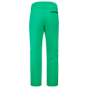 Lyžařské kalhoty Head SUMMIT Pants Men green