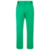 Lyžiarske nohavice Head SUMMIT Pants Men green